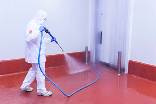 Best Boat and Dock Cleaning  in Hooper, UT